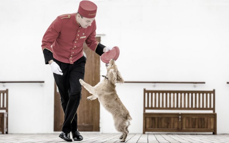 Kreuzfahrt mit Hund Diese Reederei macht es möglich InterConnect.World