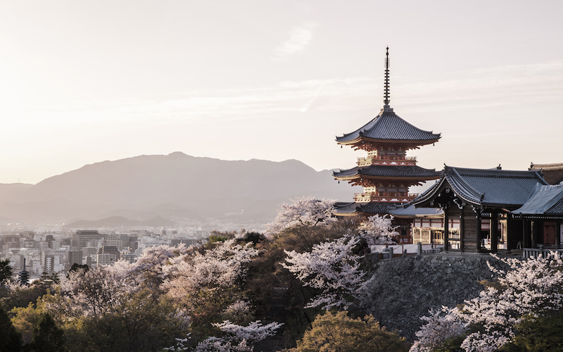 Japanischer Tempel zwischen Kirschblüten