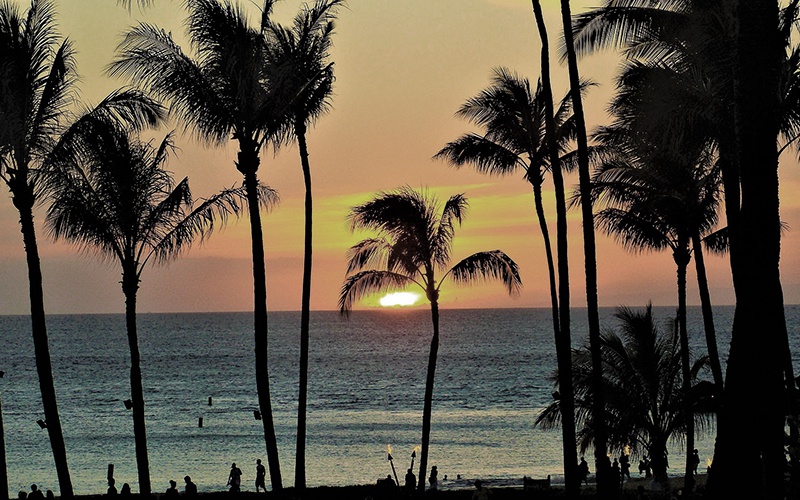 Auf der Hawaii Kreuzfahrt ist ein Besuch des Waikiki Beach Pflicht