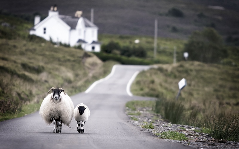 Europa Sommertour auch in Schottland