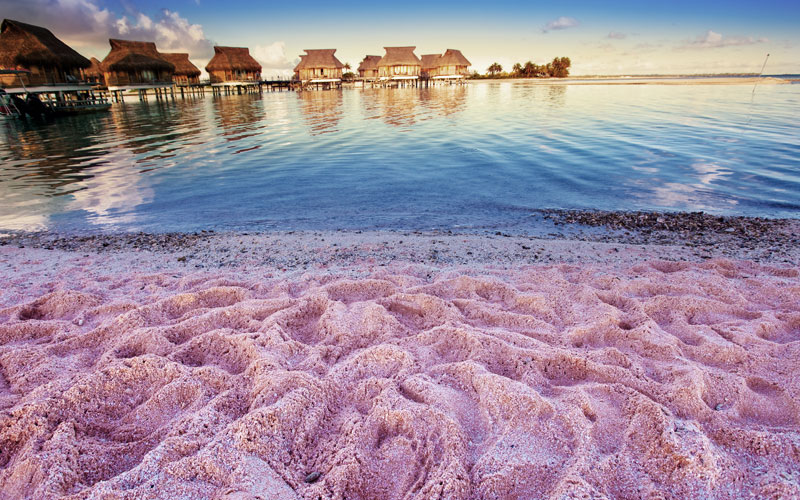 Pinker Strand Karibik